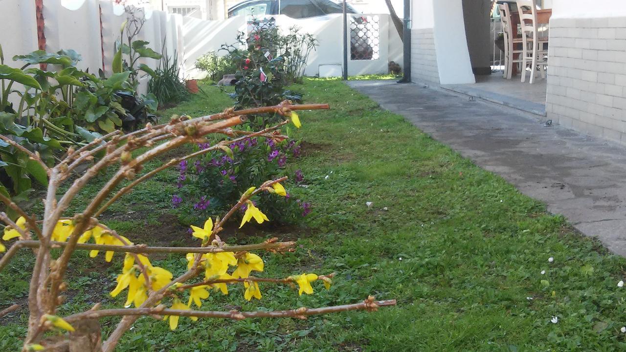 Alojamento de Acomodação e Pequeno-almoço Florinda Viareggio