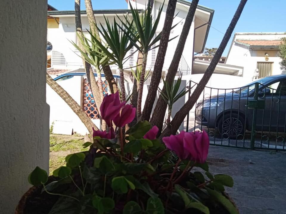 Frühstückspension Florinda